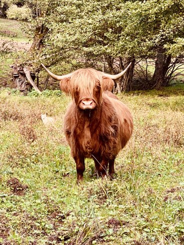 Domaine AbracadaRoom : La Grange d'Hélène - Image 10