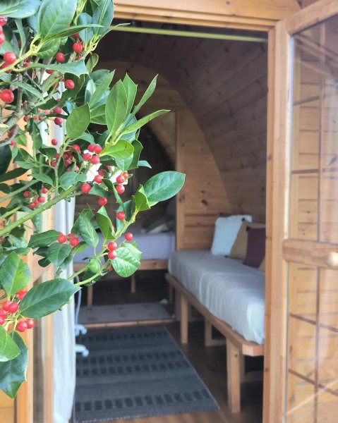 Hébergement AbracadaRoom : Pod - Sous les chênes & Spa - Image 8