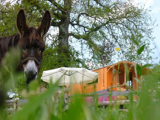 Hébergement AbracadaRoom : La Roulotte Tzigane - Image 7