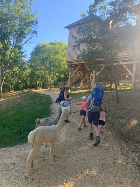 Domaine AbracadaRoom : Cabanes Spa Châteaux - Le Peydébé - Image 13