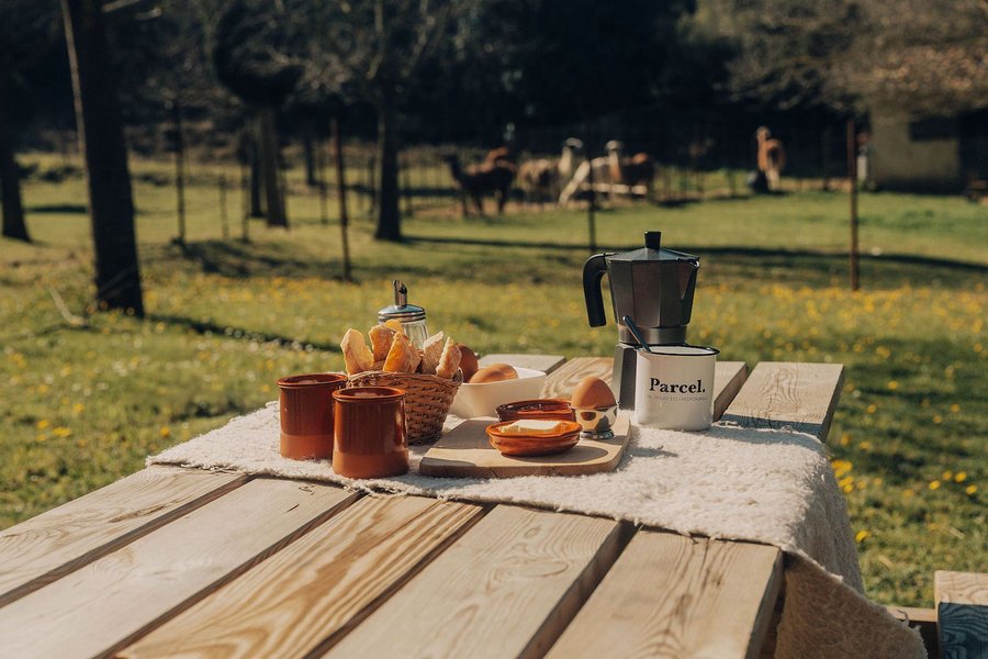 Domaine AbracadaRoom : Parcel Tiny House - au pied du Mont Ventoux - Image 35