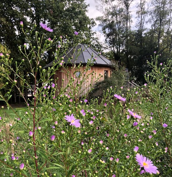 Hébergement AbracadaRoom : Le P'tiot Utau - Image 10