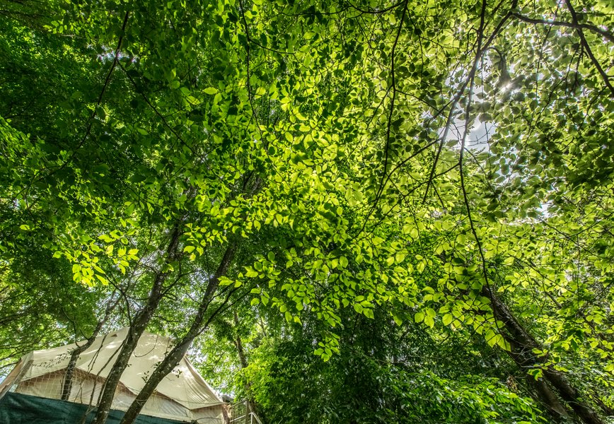 Hébergement AbracadaRoom : Lodge Samana - Image 37