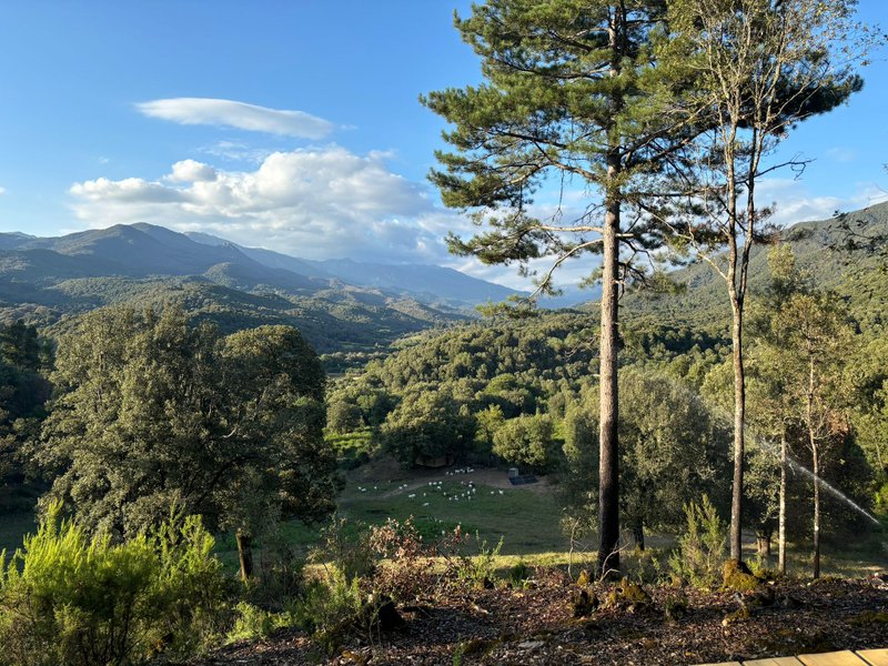 Domaine AbracadaRoom : A NASSA - Image 1