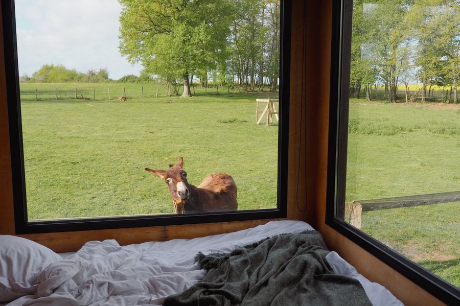 Domaine AbracadaRoom : Parcel Tiny House - près des animaux dans le Jura - Image 12