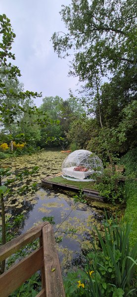 Hébergement AbracadaRoom : La tête dans les étoiles - Image 18