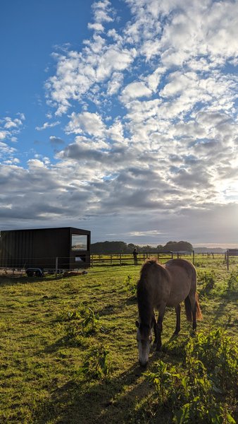 Hébergement AbracadaRoom : Tiny House La Cavalerie - Image 12