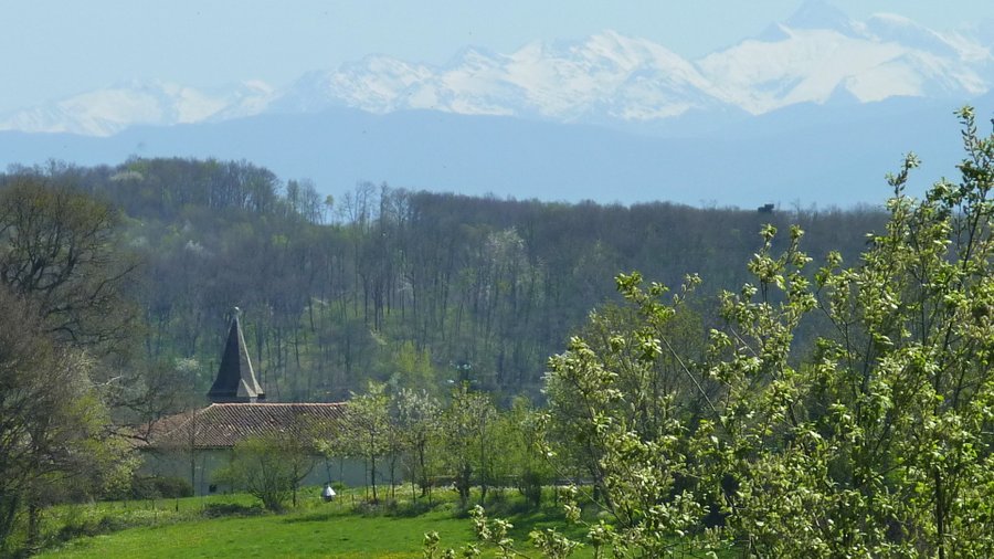 Domaine AbracadaRoom : Au Bois d'Escoumos - Image 5