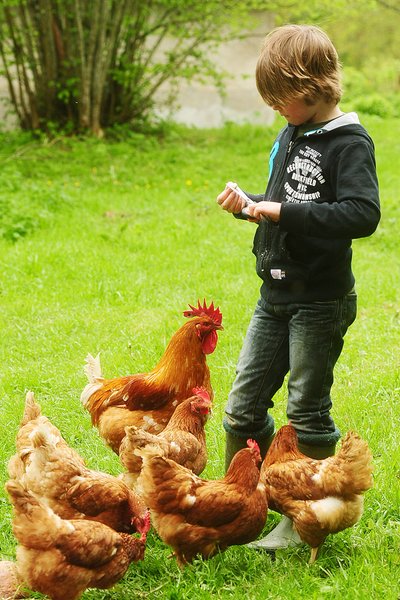 Domaine AbracadaRoom : Kimaro Farmhouse - Image 32