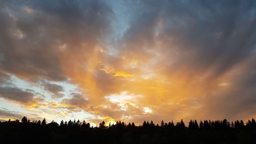 Domaine AbracadaRoom : KAYANE "balades à dos d'âne & nuitées atypiques" - Image 4