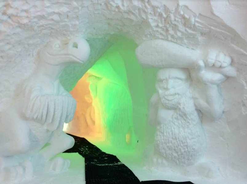 Domaine AbracadaRoom : Blacksheep Village Igloo - Image 9