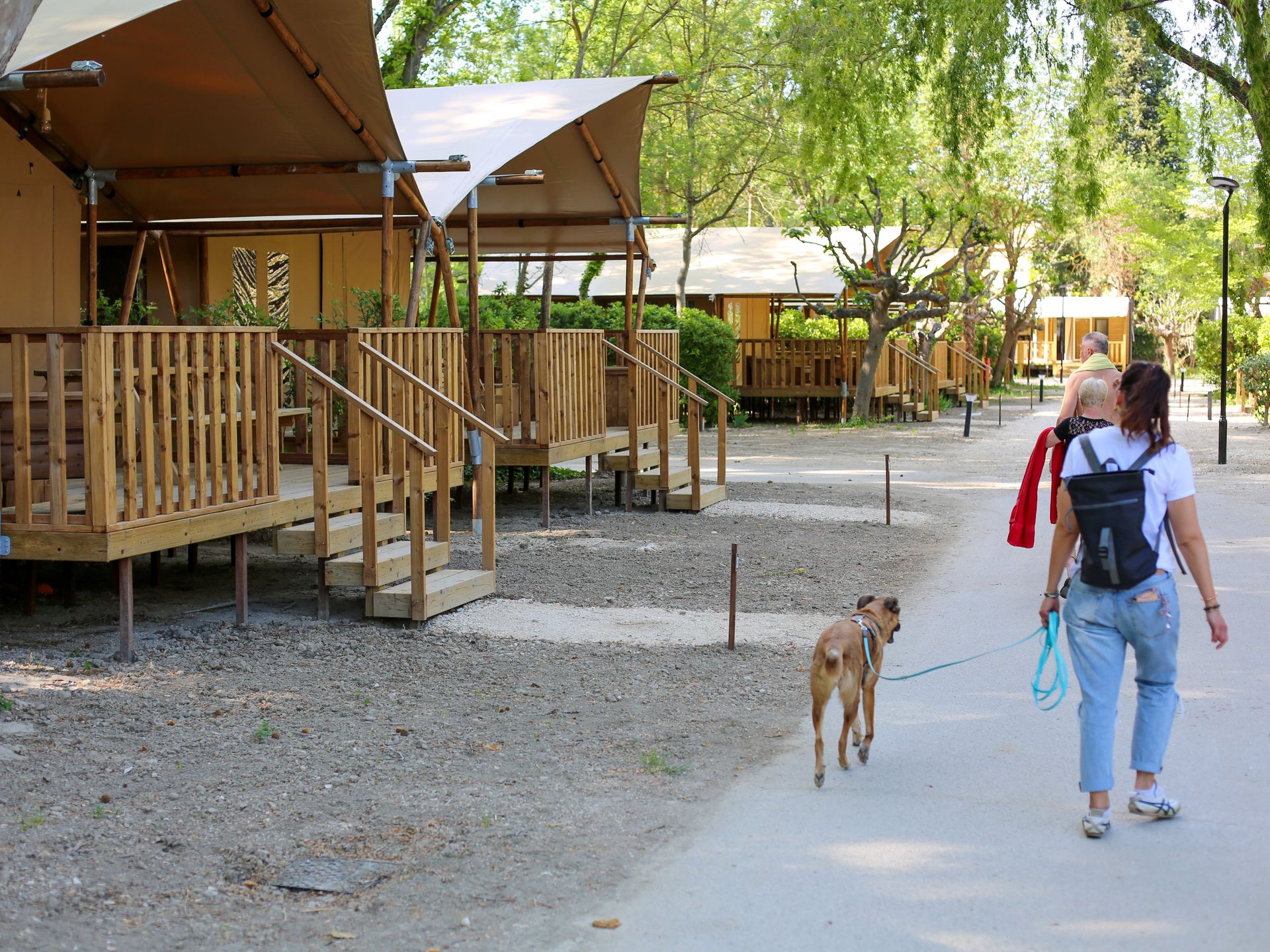 Lodge safari 5 personnes 20 m²
