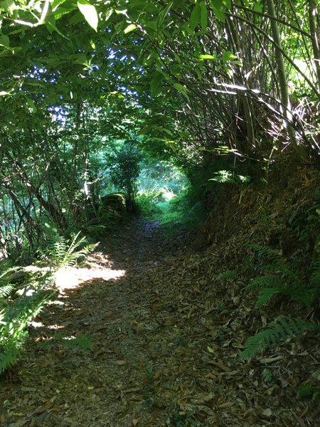 Hébergement AbracadaRoom : Yourte Enchantée au coeur de la Nature - Image 15