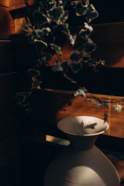 Domaine AbracadaRoom : L’atypique Cabane - Image 12