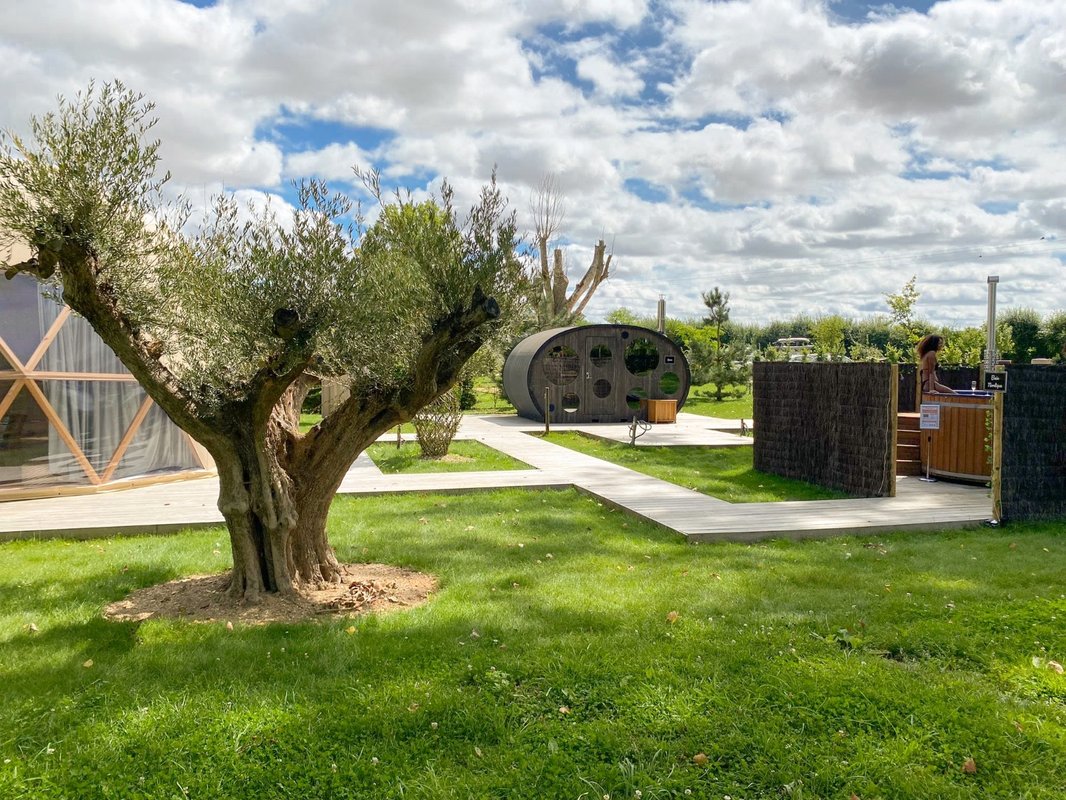 Le Dôme & Spa à Gravon (15)