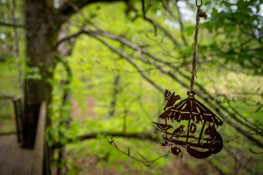 Hébergement AbracadaRoom : La Pat' de l'ours - Image 20
