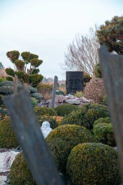 Le Dôme du Levant & Spa, Cinéma : Dôme en Lorraine (Grand Est)