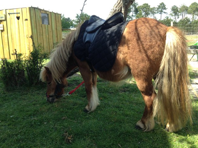 Domaine AbracadaRoom : Parenthèse Nuit - Image 5