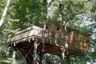 Cabane dans les arbres Indre