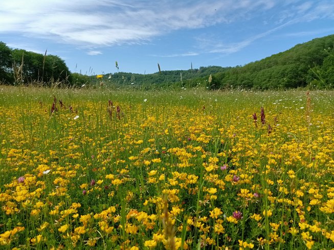 Domaine AbracadaRoom : Centre Agro Environnemental de Brassacou - Image 11