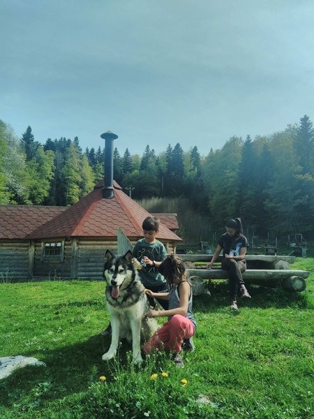 Hébergement AbracadaRoom : Kota 3 Inari - Séjour inoubliable auprès de huskies - Image 4