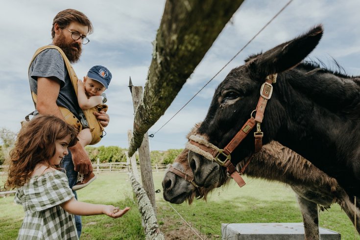Hébergement AbracadaRoom : Parcel Tiny House - sur les berges d'un étang en Bourgogne (1) - Image 8