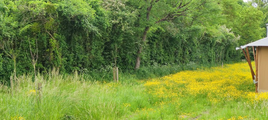 Domaine AbracadaRoom : You & Me Glamping - Image 4