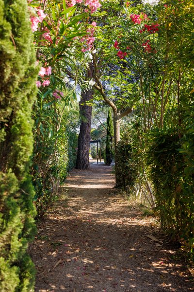 Hébergement AbracadaRoom : Tente Lodge SAFARI - Image 10