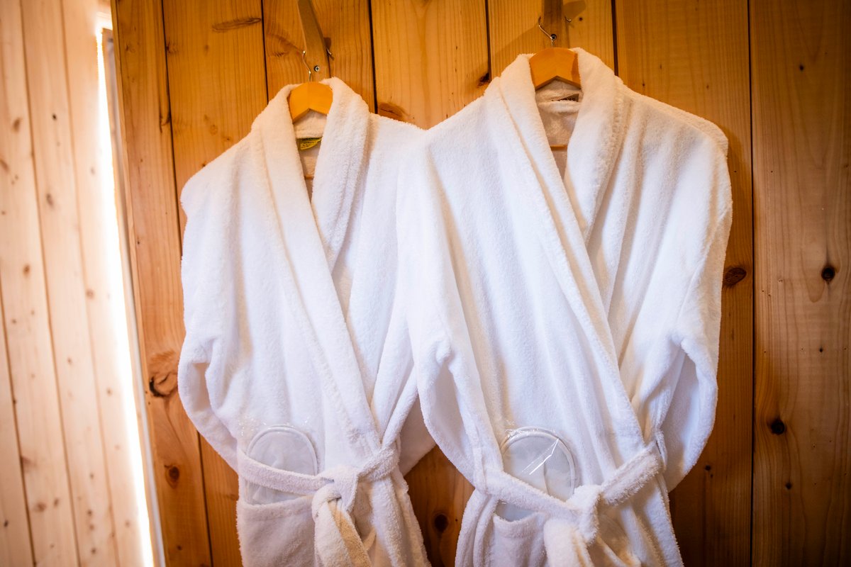 Lodge SPA & Sauna Zen à Gillonnay (16)