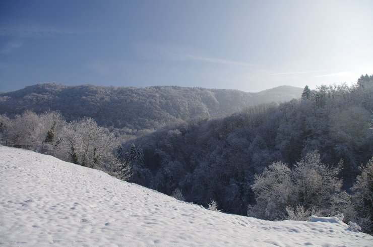 Domaine AbracadaRoom : La Cabane aux Rêves - Image 10