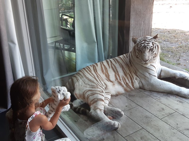 Domaine AbracadaRoom : Zoo de Bordeaux Pessac - Night expérience - Image 11