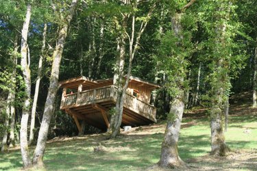 Cabane  Chataignier à Singles (1)