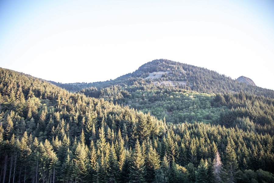 Hébergement AbracadaRoom : Chambre Roulotte et spa privatif  vue montagne - Image 15