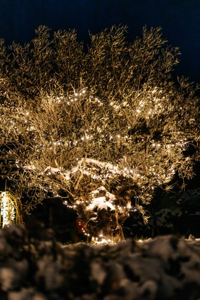 Hébergement AbracadaRoom : Suite d'Exception - Spa & Sauna - Image 28