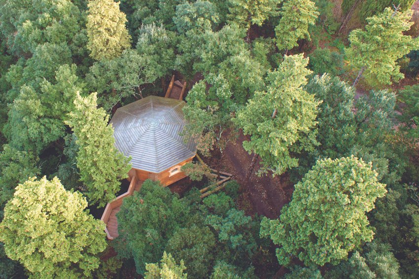 Domaine AbracadaRoom : Les Cabanes dans les bois - Image 20