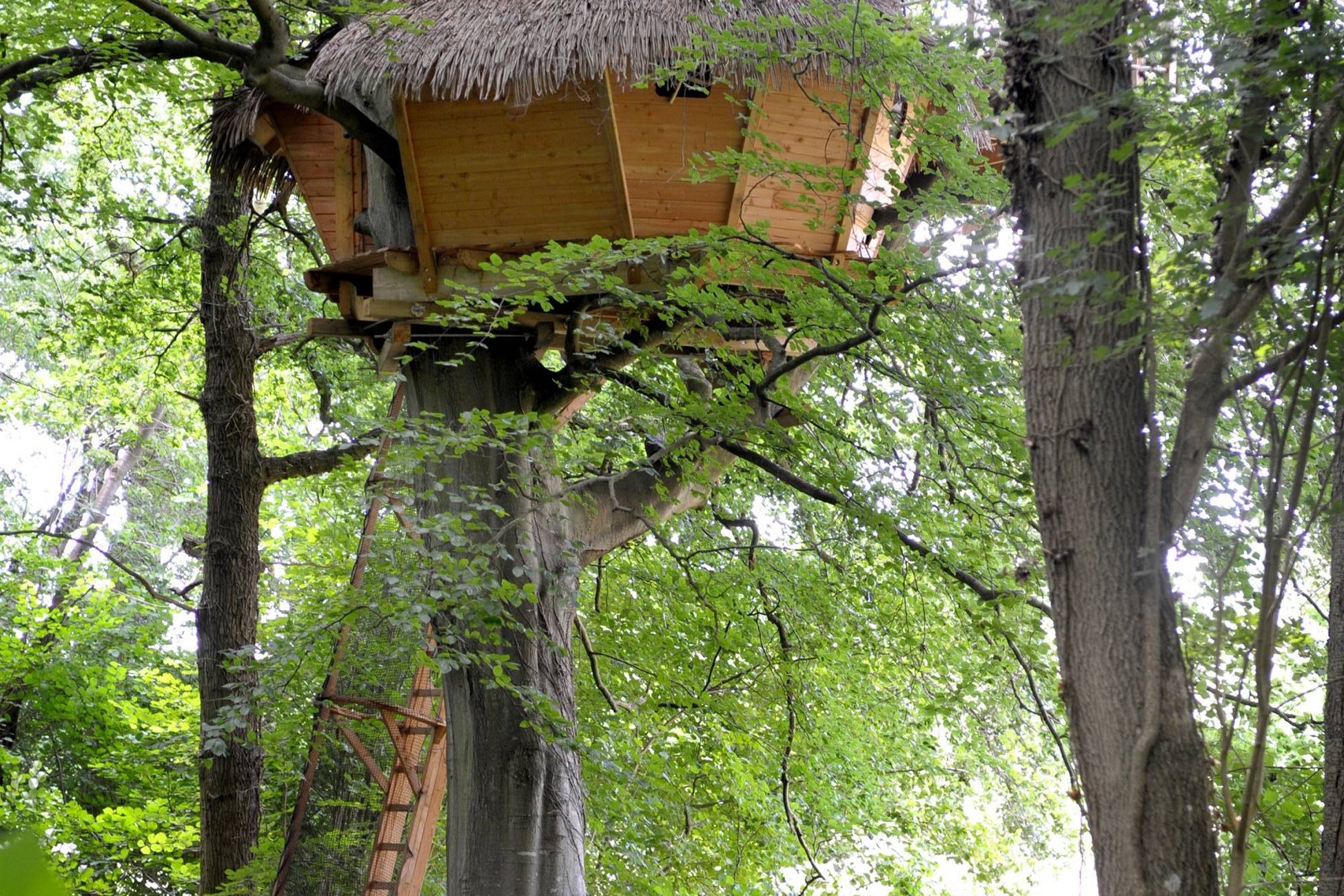 Hébergement UnicStay : Grand Hêtre à St Germain Des Essourts