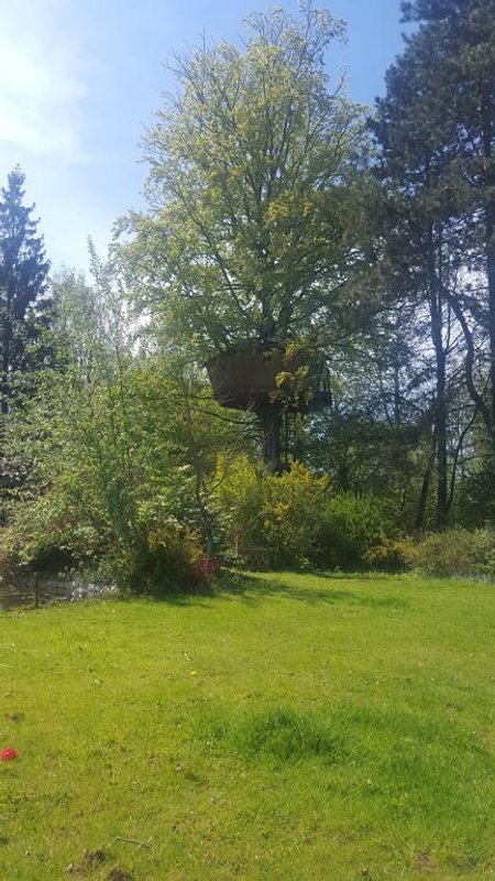 La cabane Au fil de l'Eau & Spa à Wail (5)