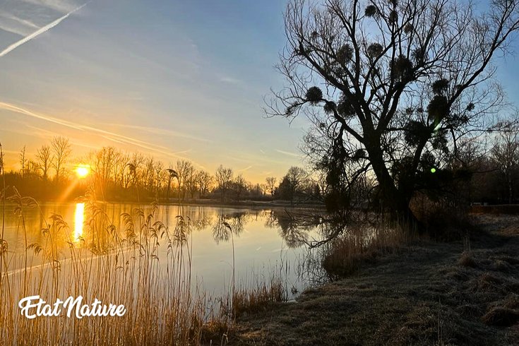 Hébergement AbracadaRoom : La bulle nuage d'Etat Nature - Image 9