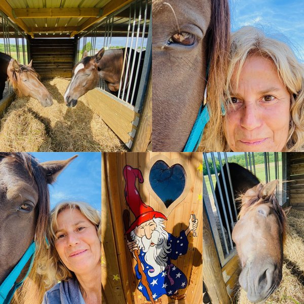 Domaine AbracadaRoom : Jardin Zen du Quistillic - Image 25