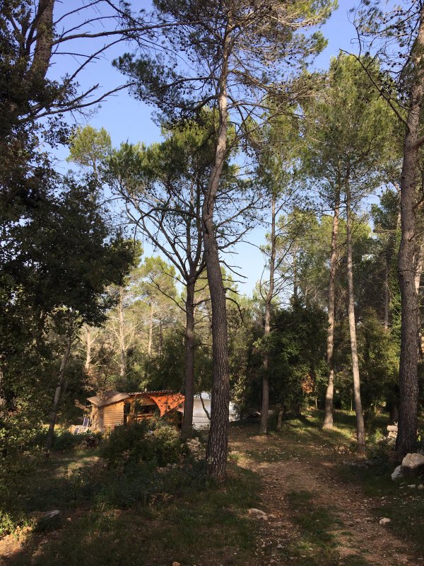 Yourte en Provence & piscine à Besse Sur Issole (24)