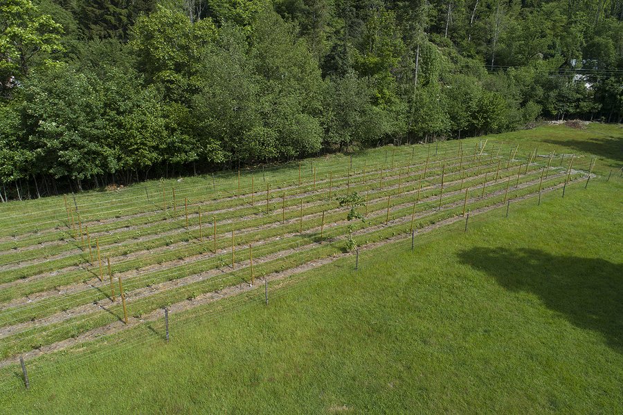 Domaine AbracadaRoom : Escale Cab'Ane - Image 14