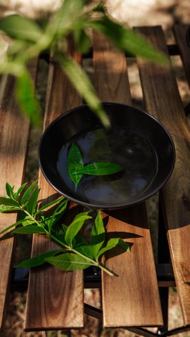 Hébergement AbracadaRoom : Homnest - Infusion Provençale - Lisière & Ocres - Image 35