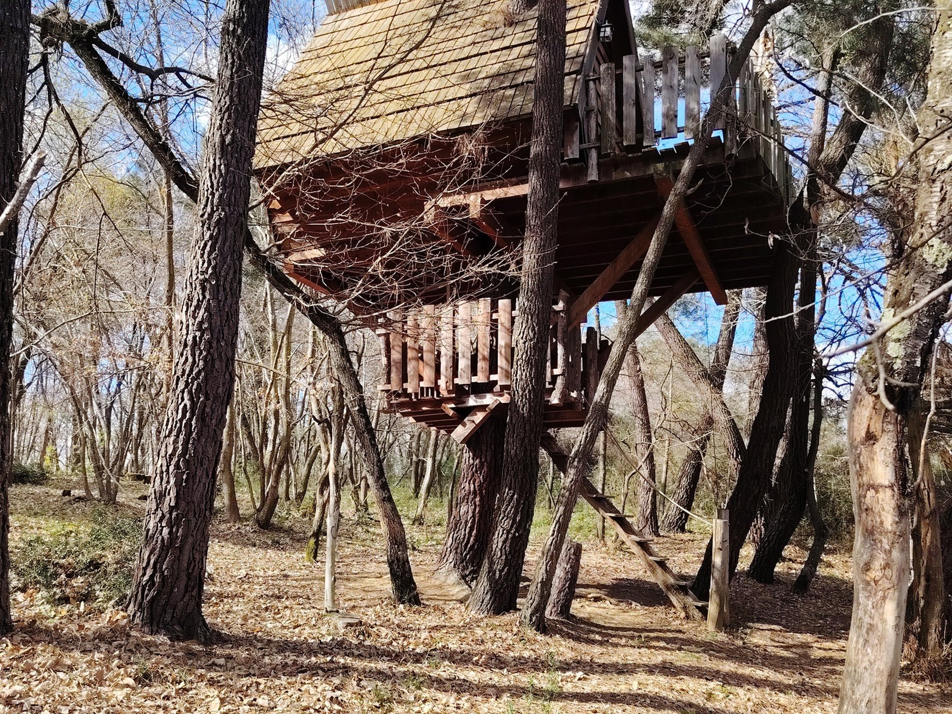 Cabane Nid d’Oiseaux - Un cocon perché qui danse avec le vent