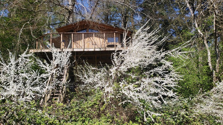 Hébergement AbracadaRoom : Cabane du domaine du Valdorgère  & Piscine - Image 2