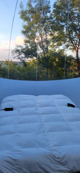 Domaine AbracadaRoom : Les Bulles du  Coq de Champagne - Image 12