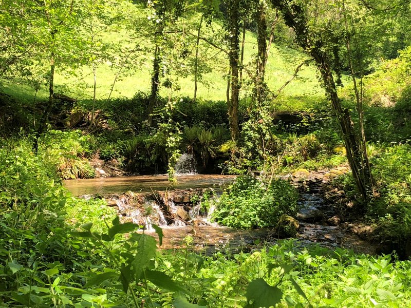 Domaine AbracadaRoom : Terra Bosca - Image 3