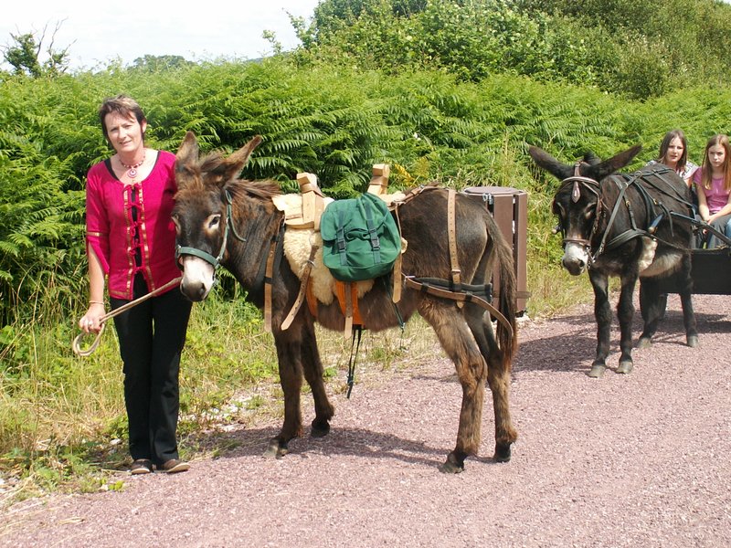 Domaine AbracadaRoom : Écurie Leseigneur - Image 13