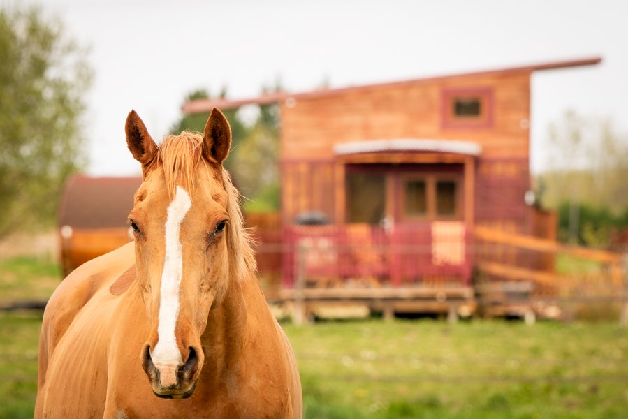 Hébergement AbracadaRoom : La Tiny Girondine - Image 2