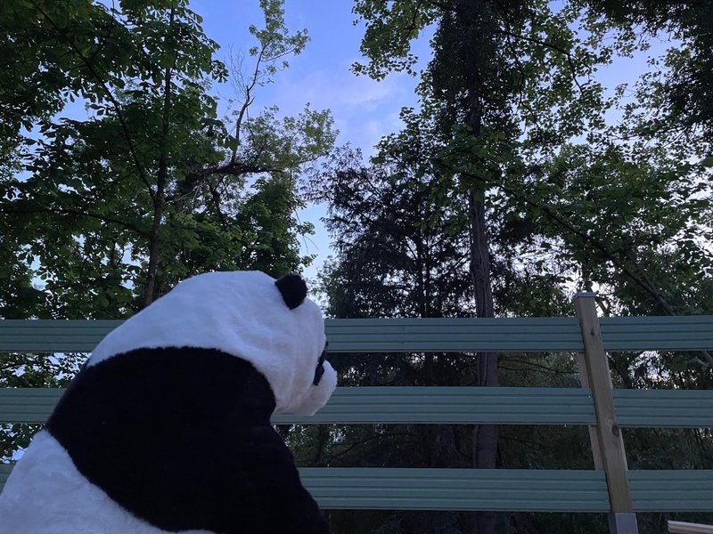 Hébergement AbracadaRoom : La Cabane du Panda & Spa - Image 27