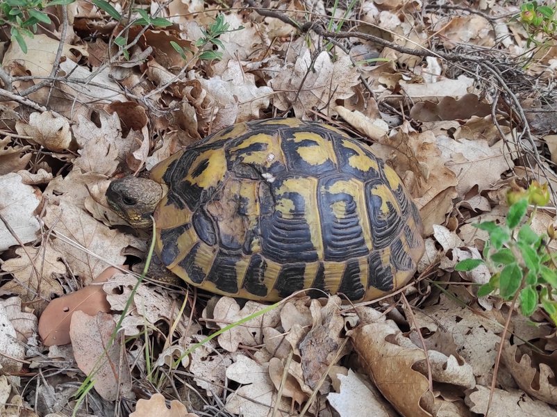 Domaine AbracadaRoom : Les Ecuries du Soleil - Image 20